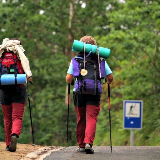 Complete guide to walking the Camino de Santiago in 2025