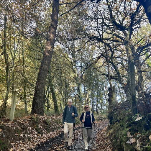 Navigating the Challenges of El Camino: Weather, Terrain, and Health