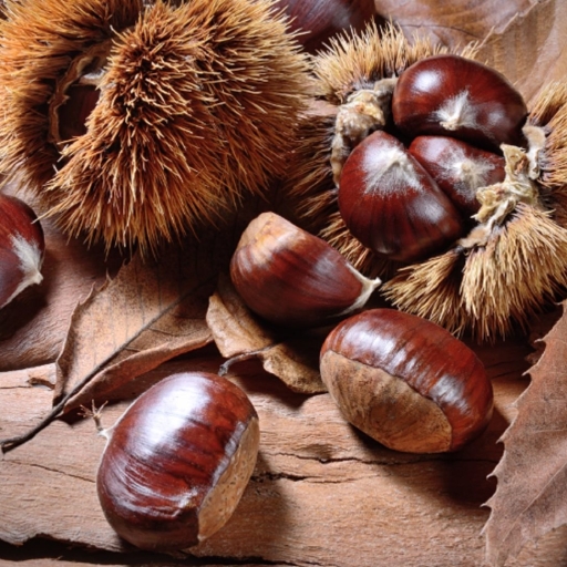 Castañas: Galicia’s Autumnal Delight