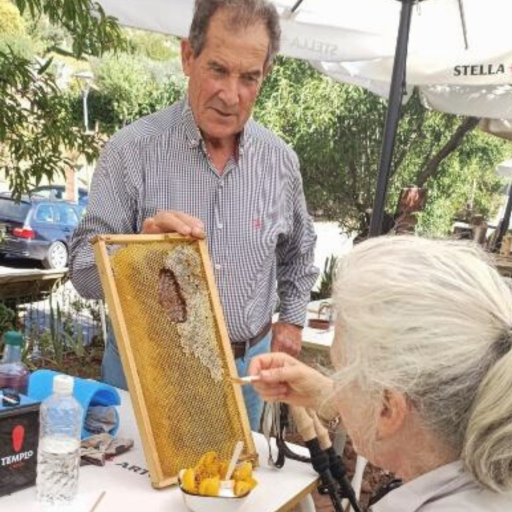 Parrainez une ruche à La Rioja