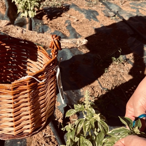 Milhulloa: Conectando Peregrinos con la Naturaleza