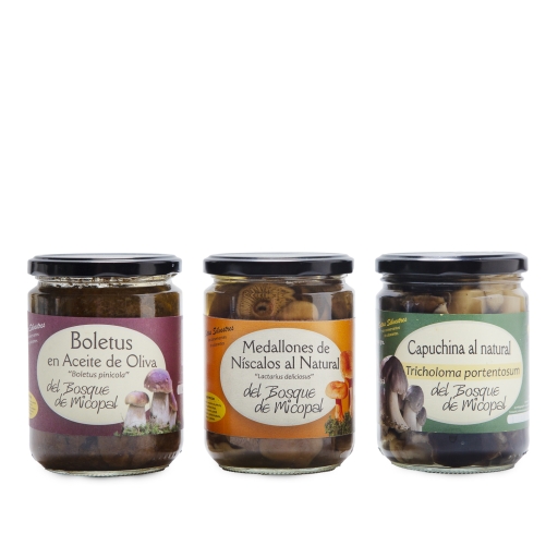 Trio de champignons naturels de montagne de Palentina