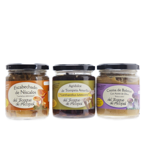 Trio de champignons gourmands des montagnes Palentina